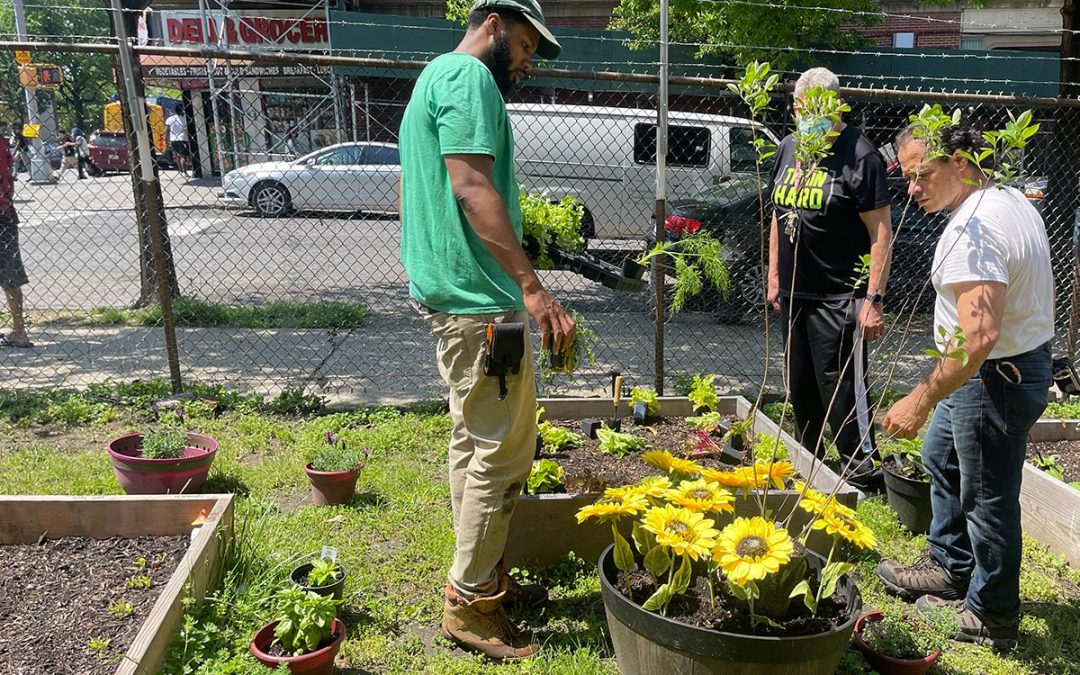 The New York Botanical Garden donated plants
